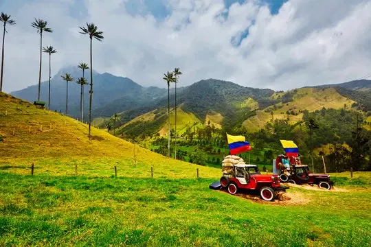 Campo Colombiano